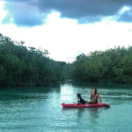 Guarumbo Bacalar Luaran gambar