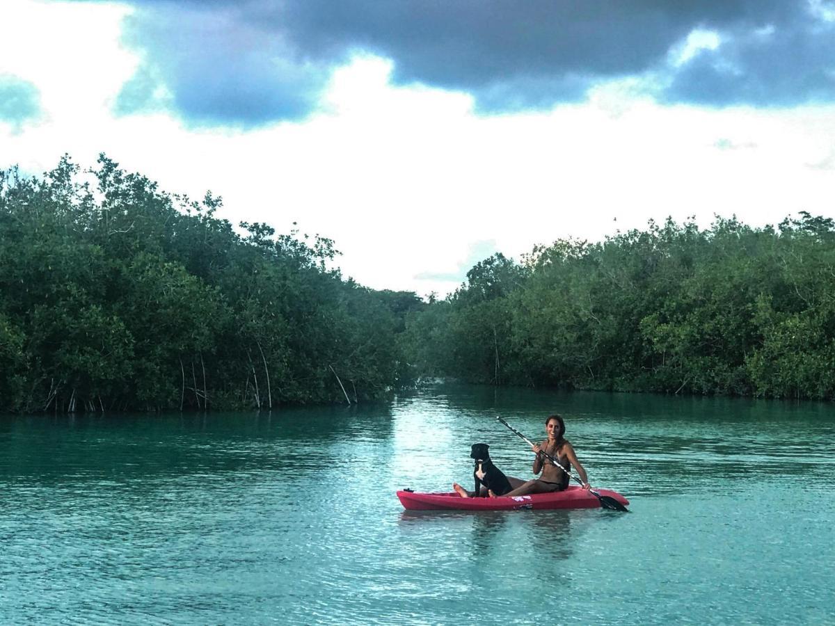 Guarumbo Bacalar Luaran gambar